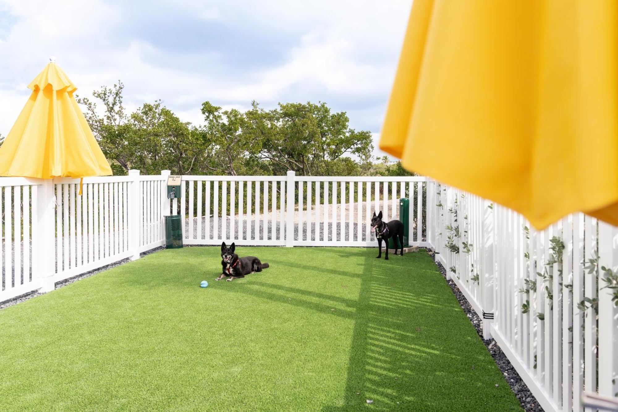 Sugarloaf Key Rv Resort & Cottages Summerland Key Luaran gambar